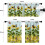 Σετ κουρτινών κουζίνας Sunflower Garden με σκελετό και βέργα 36 τεμαχίων 2
