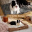 Self-Warming Pet Mat Anti-Slip Scratch-Resistant Machine 6