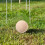 Wood Bocce Ball Set Round 5 Pieces 4