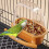 Bird Cage Hanging Feeding Cup Plastic 1 Piece 4