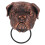 Antique Gothic Ring Door Knocker with Dog Accent 4