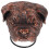 Antique Gothic Ring Door Knocker with Dog Accent 8