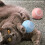 Interactive Cat Smart Ball Toy USB Rechargeable 8