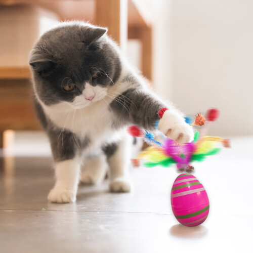 Roly-Poly Cat Toy with Feather and Bell Egg-Shaped 2