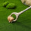 Trash Tongs Lactation Supply Tool Beginner 8