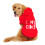 Pulls pour chiens de toutes tailles 4