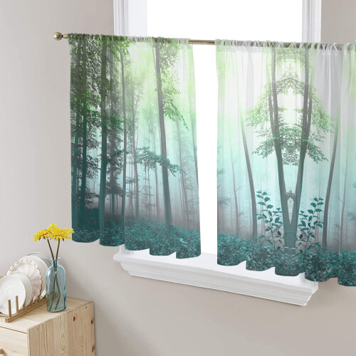Sheer Curtains Fall Green Gradient 52x54 in Voile Drapes 2