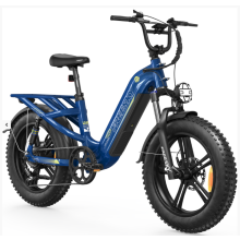 Freesky A-320 E-Mountainbike 48V 25Ah Off-Road Electric bike 2500W