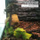 Vine Climber Terrarium Decor for Reptiles 1 Piece 5