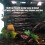 Vine Climber Terrarium Decor for Reptiles 1 Piece 8