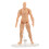 Supporto per modelli da disegno e action figure per artisti 6