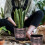 Vaso de plástico autoirrigável com reservatório, para flores. 4