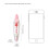 Decorative Pens Cute Animal Press Type 1 Pack 7