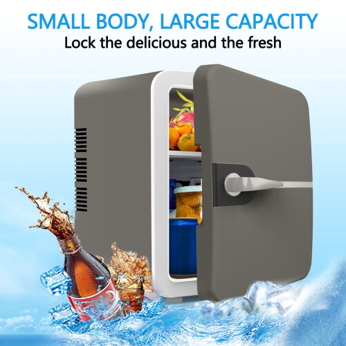 6L Mini Fridge Thermoelectric Dual Voltage 1.6 Gallon 2