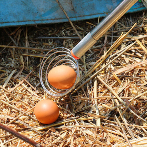 Stainless Steel Peanut Picker and Egg Grasper 107cm 1