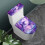Dolphin Toalettlock och Tanklock Set Ovalt 2-pack 2