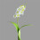 Gotiska rossilkesblommor vita röda 1 st 4