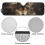 Windshield Sun Shade for Jeep Wrangler JL/JLU and Gladiator 6