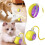Interactive Cat Toy Motion-Activated Durable 1 Pack 2