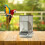 Automatic Bird Feeder for Parrots Adjustable Gray 6