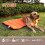 Outdoor Dog Bed Waterproof Washable Large Durable 6