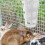 Hay Feeder Rack for Bunny Hamster Ferret White 6