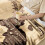 Silver Wedding Throw Blanket 60x50 inches 3