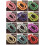 Glaspärlor Runda 10mm Opaka Belagda 20st 4