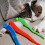 Cat feather toy refills worm style 10 pieces 3
