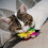 Cat feather toy refills worm style 10 pieces 4