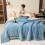 Milk Velvet Lambswool Blanket Queen 6080 Inch Double-Layer 2
