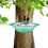 Bird Bath Tray Tree-Mounted 9.2 Inch Diameter x 2.7 Inch 2