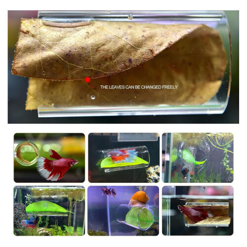 Betta Fish Tunnel Transparent Suction-Cup Mount 3.94x5.91 1