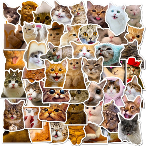 Cat Face Stickers Realistic Cute 50-Pack 2