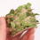 ULTNICE Cat Tree Leaves Tower Hemp Rope 2 Rolls 6