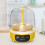Intelligent Egg Incubator with USB Auto Turner Temperature 6