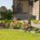 Lampes solaires de jardin pour fleurs, étanches, d'extérieur 4