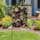 Gartenflagge mit Brombeermuster, 12 x 18 Zoll, doppelseitig 5