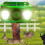 Solar Animal Repellent Light with Loud Alarm 5