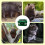 Solar Animal Repellent Light with Loud Alarm 7