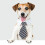 Adjustable Pet Sweater for Small Medium Dogs Cats 2