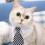 Adjustable Pet Sweater for Small Medium Dogs Cats 4