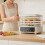 Compact Food Dehydrator with Adjustable Temperature and 5