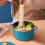 Stainless Steel Rice Bowl Small Size 1 Piece 2