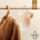 Dehumidifier Box Plastic Hanging Design for Wardrobe 5
