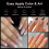 Fake Nail Tips Clear Acrylic Press-On DIY Nail Extensions 3