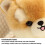 Pehmeät Husky- ja Corgi-pehmonuket, 2 kpl 4