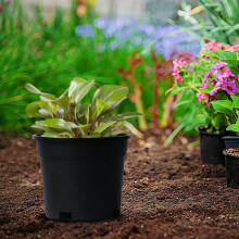 Pots de fleurs souples avec trous de drainage, noirs, taille unique