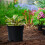 Pots de fleurs souples avec trous de drainage, noirs, taille unique 1