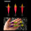 Mealláin Jig Scuid Glow 73mm agus 90mm 4